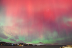 November Bay Auroras
